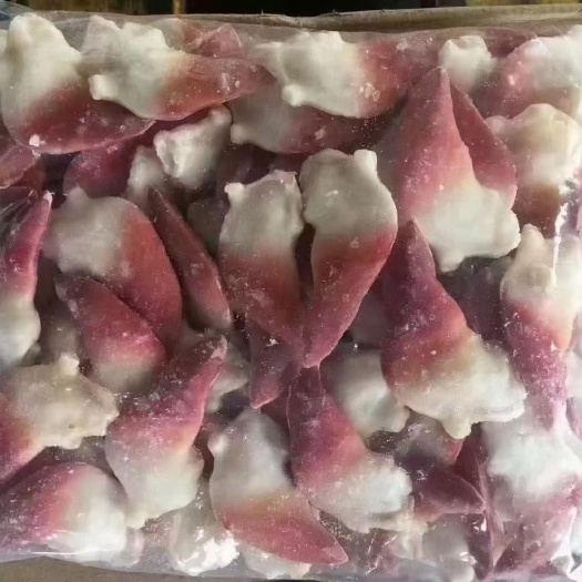 成都清水北极贝  全规格   成都上海均可发货