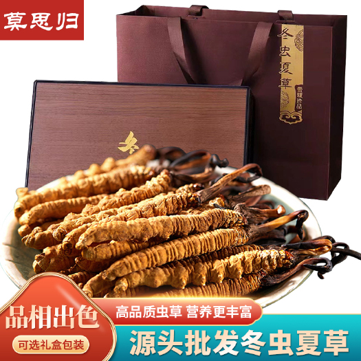 东莞市干货冻干虫草12根／3克20根/5克礼盒装冬虫夏草厂家直销