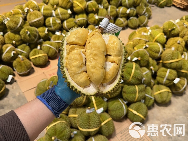 泰国甲仑榴莲带壳新鲜水果一件代发