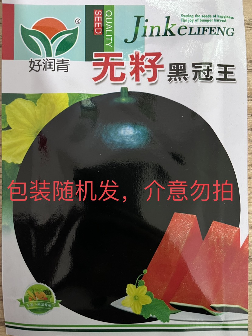 特大無籽西瓜超甜皮薄肉多早熟抗病黑皮無籽特大西瓜水果種子