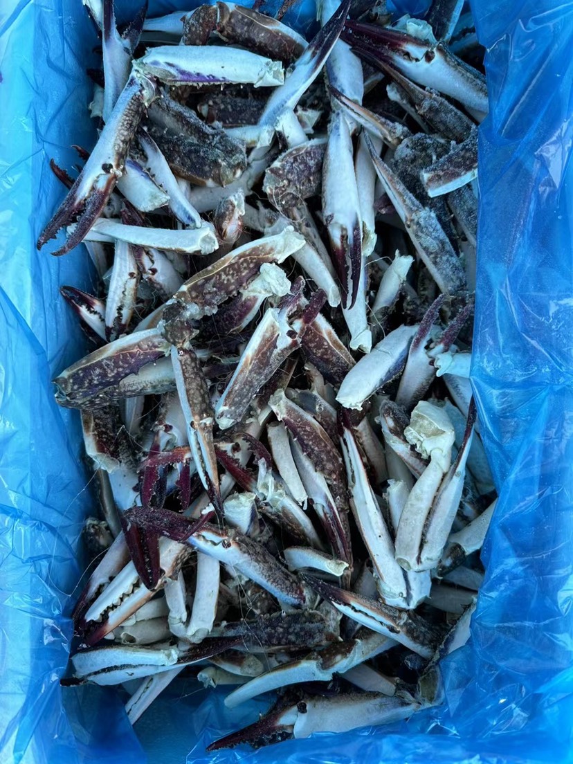 梭子蟹脚捞汁蟹钳深海海鲜鲜活冷冻蟹钳饱满梭子蟹腿大螃蟹脚