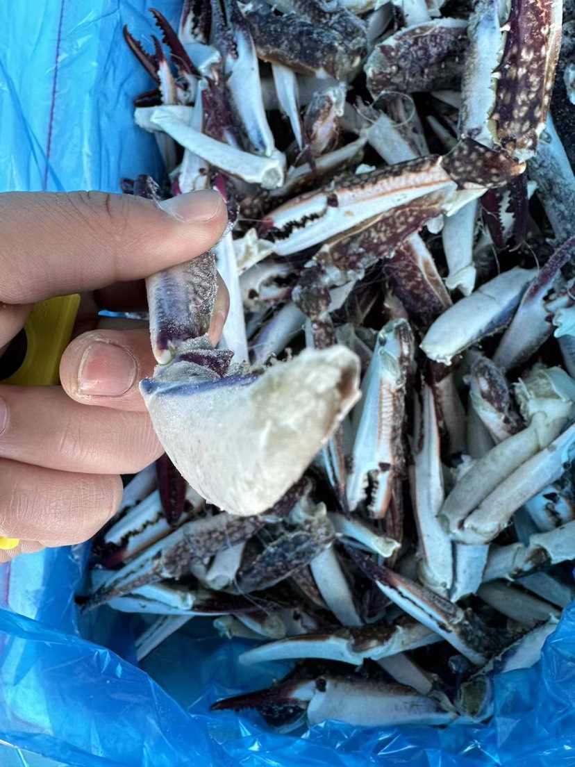 梭子蟹脚捞汁蟹钳深海海鲜鲜活冷冻蟹钳饱满梭子蟹腿大螃蟹脚
