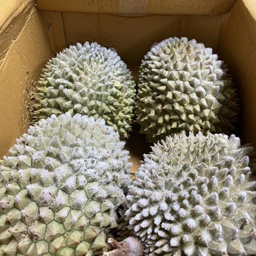 广州液氮干尧