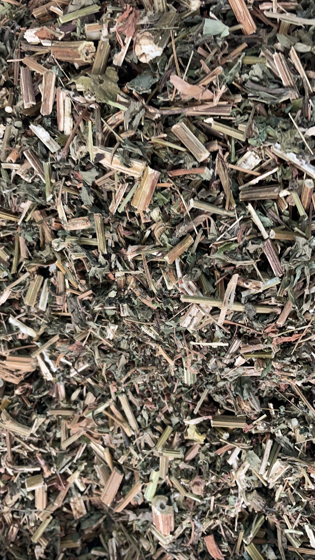 刘寄奴 批发零售中药材 一斤起发  新货 量大从优 一件代发