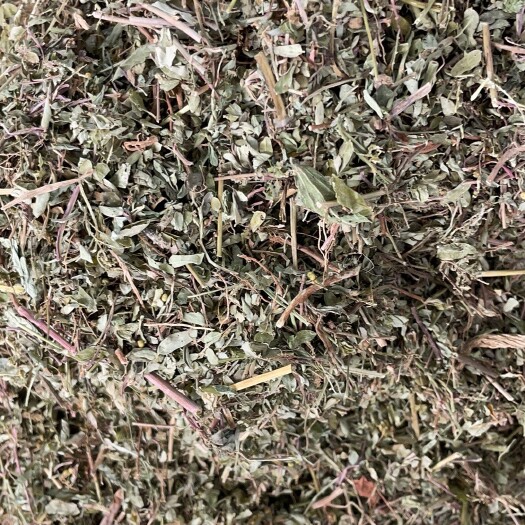 玉林叶下珠 批发零售中药材 一斤起发  新货 量大从优 一件代发