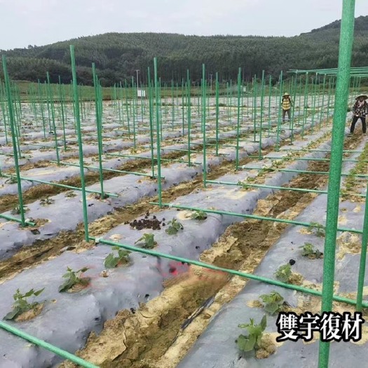 东莞市玻璃纤维管 瓜果种植搭架 遮阳防寒立柱代替镀锌管