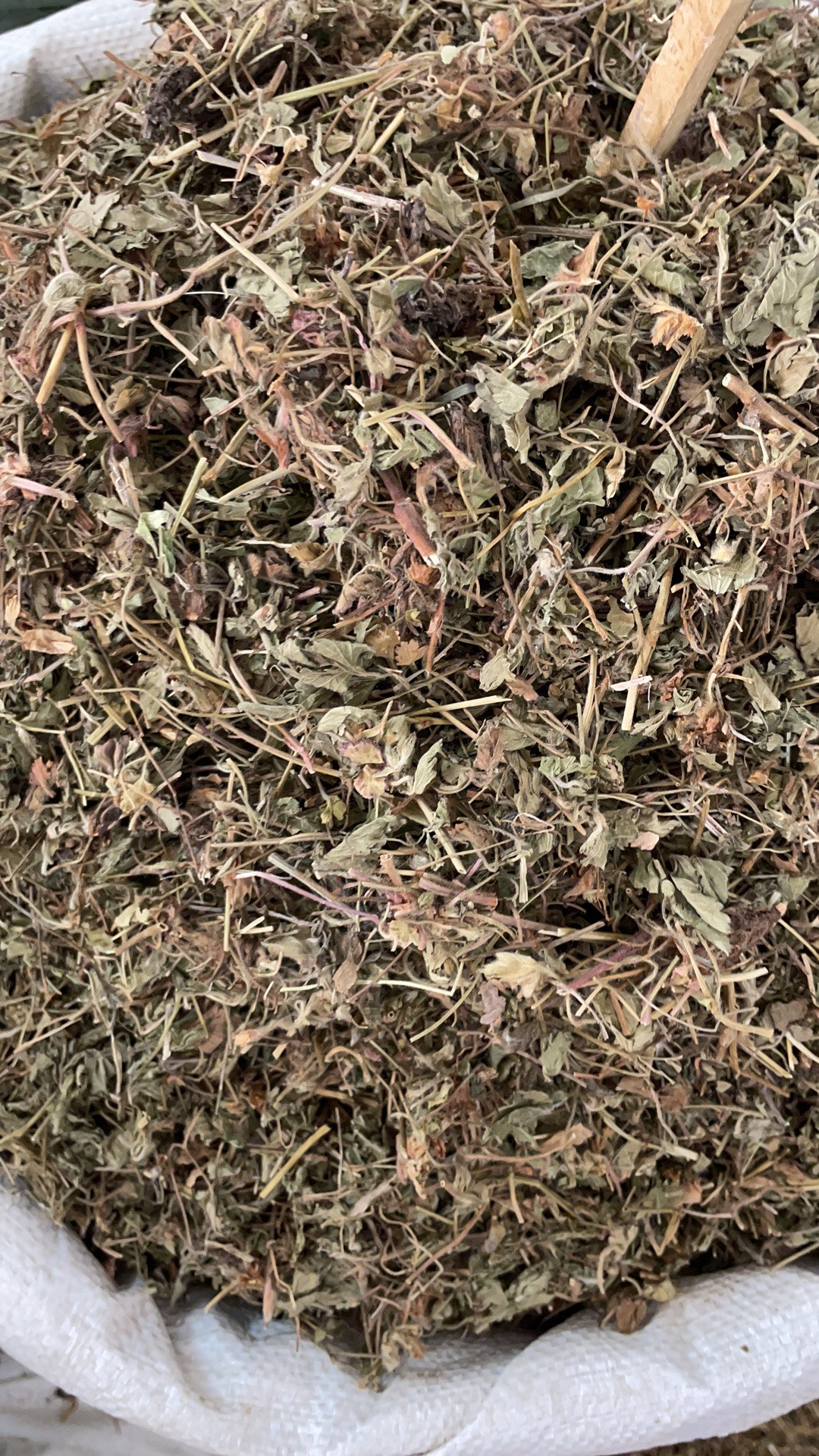 蛇莓 批发零售中药材 一斤起发  新货 量大从优 一件代发