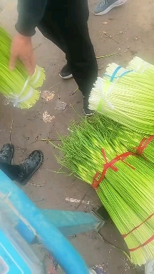 产地直销，头茬白帽蒜薹大量上市，质量保证价格美丽
