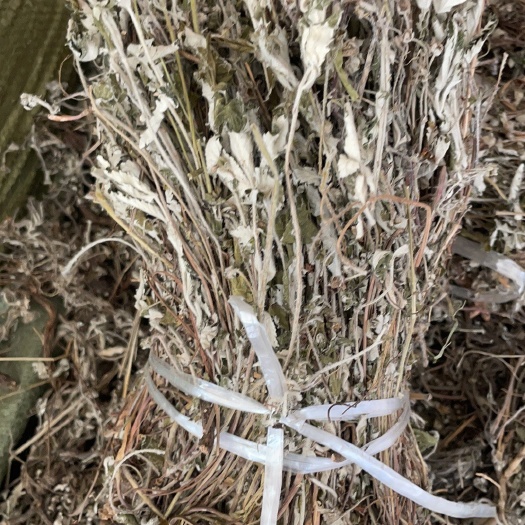 翻白草 批发零售中药材 一斤起发  新货 量大从优 一件代发