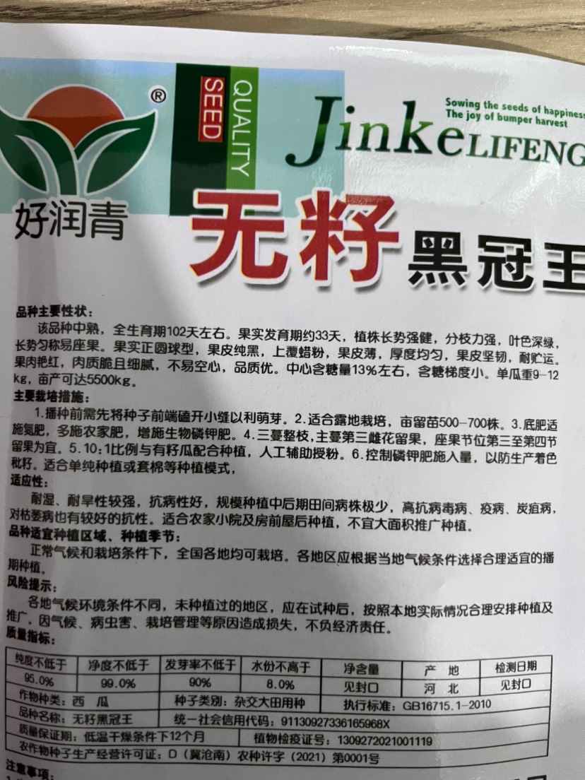 特大無籽西瓜超甜皮薄肉多早熟抗病黑皮無籽特大西瓜水果種子