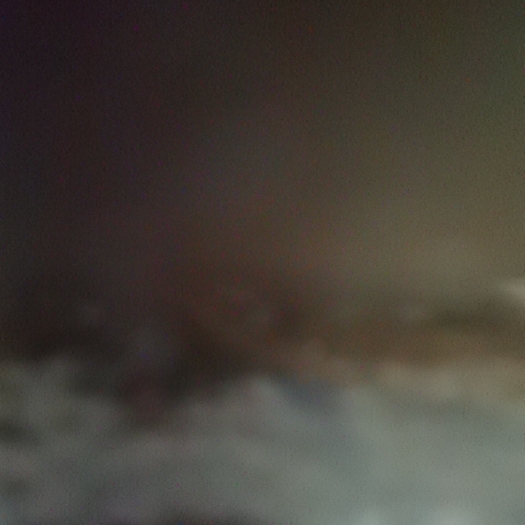 哈尔滨玉米须