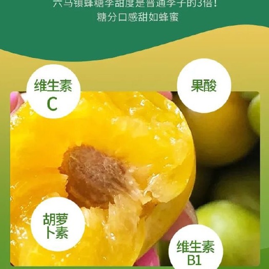 镇宁县镇宁蜂糖李