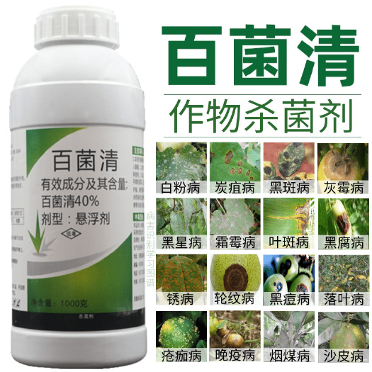 新沂市40%百菌清果树蔬菜杀菌剂锈病炭疽病白粉病叶斑病霜霉病农药