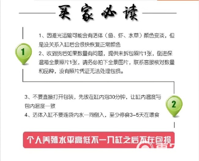 泥鳅苗批发 本地泥鳅苗批发 支持全国发货，空运 客运