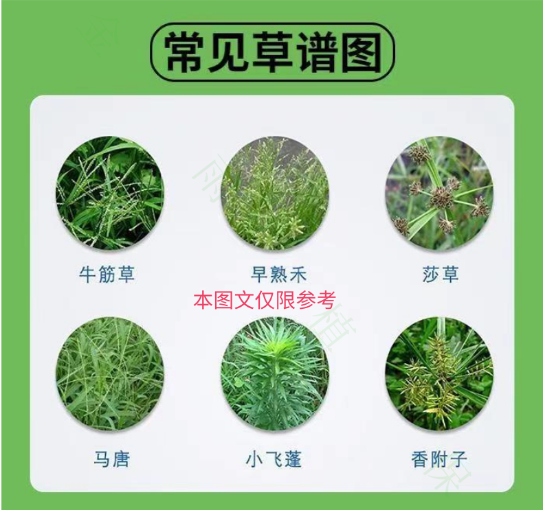 40%撲草凈闊葉雜草茶園大豆花生甘蔗魚藕塘除浮萍青苔除草劑