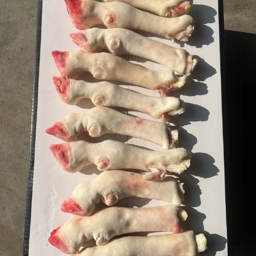 济南羊蹄 全白  带主筋  大 中 小 各种规格都有