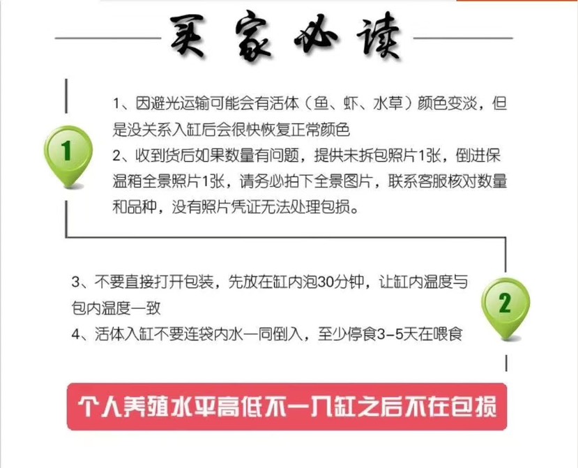 俄羅斯金草魚苗，金鯇魚苗批發(fā)，支持全國(guó)發(fā)貨空運(yùn) 客運(yùn)快遞