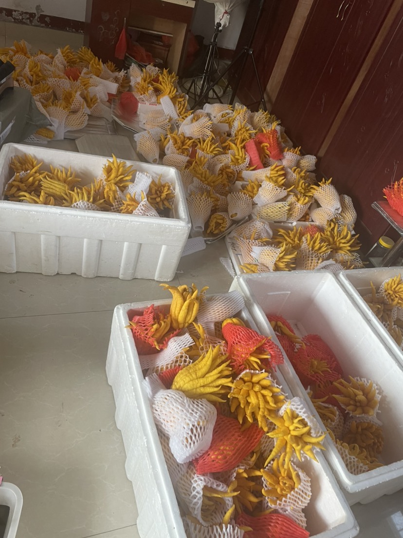 金佛手鲜果，自有基地，质量上乘，价格实惠，欢迎咨询及上门采购