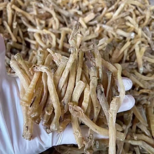 台山市沙虫干