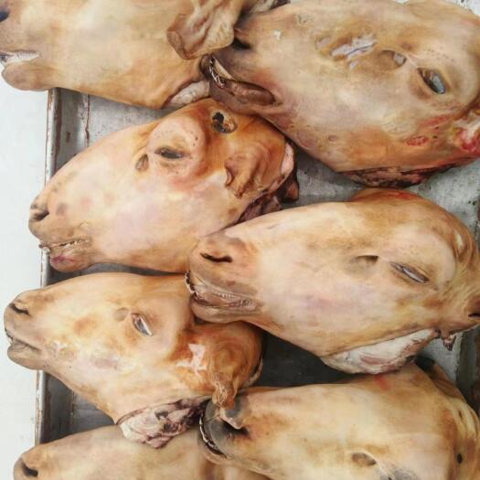 阿旗火烧羊头