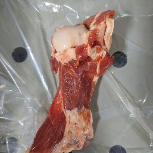 商河县羊棒骨肉多  纯干 质量如图 手续齐全 量大价优