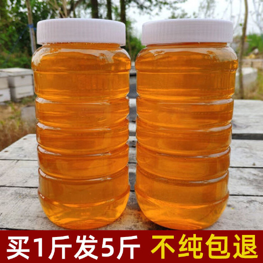 曲阳县纯蜂蜜枣花蜜洋槐蜜野生百花蜜土蜂蜜水商用蜂蜜奶茶店专用