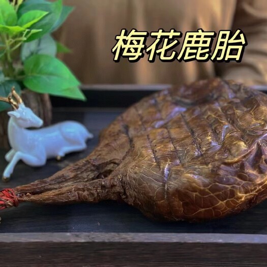 纯梅花鹿 整个鹿胎 带胎衣可免费打粉 鹿胎粉保证正品一件代发