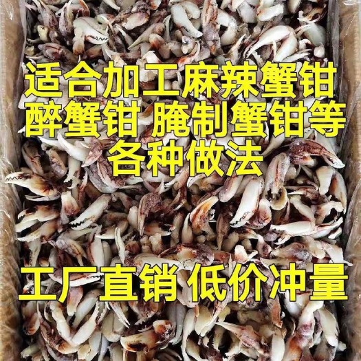 连云港蟹钳新鲜冷冻醉蟹钳沙蟹钳麻辣蟹钳捞汁蟹钳