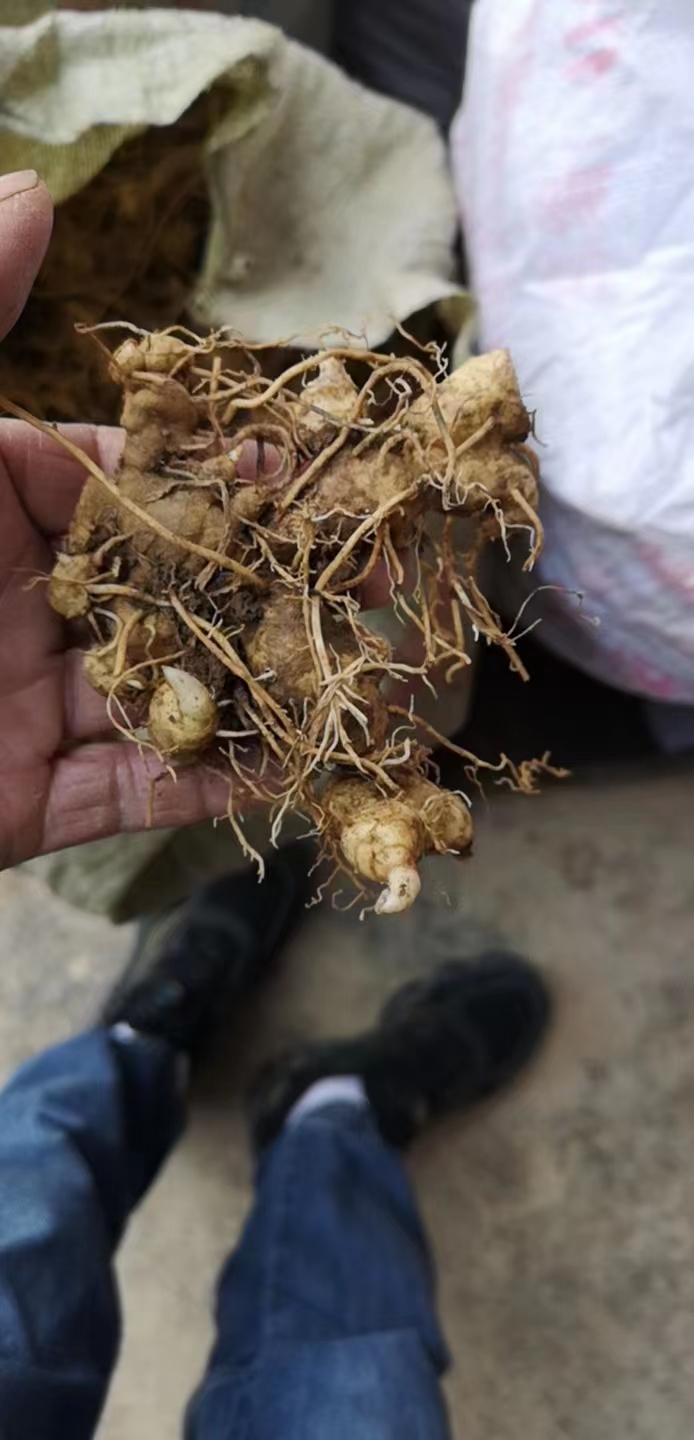春耕季，价格实惠货源充足