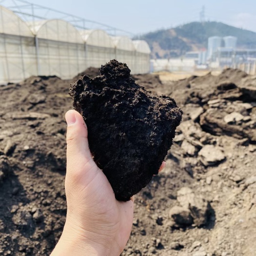 若尔盖县顶级有机肥