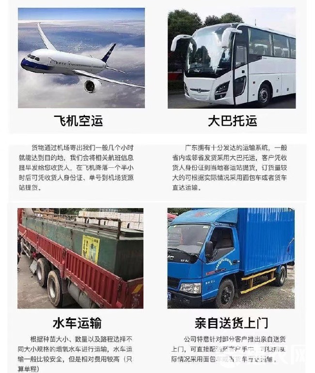 泥鳅苗批发 本地泥鳅苗批发 支持全国发货，空运 客运