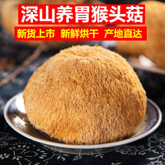 青龙县猴头菇农家特产优质精选干货猴菇新鲜无硫干货煲汤滋补