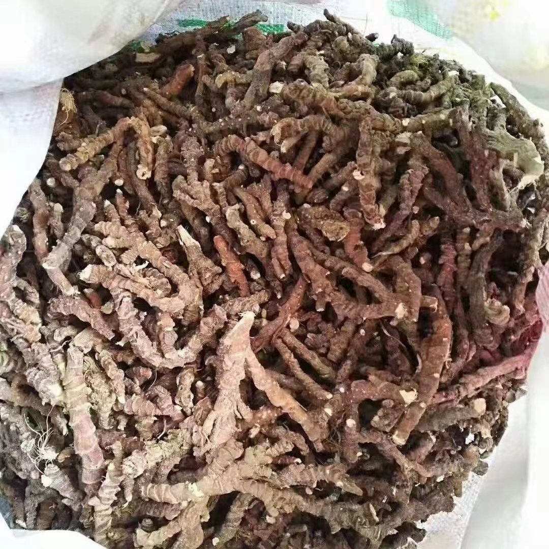 环江毛南族自治县石菖蒲净货干个子