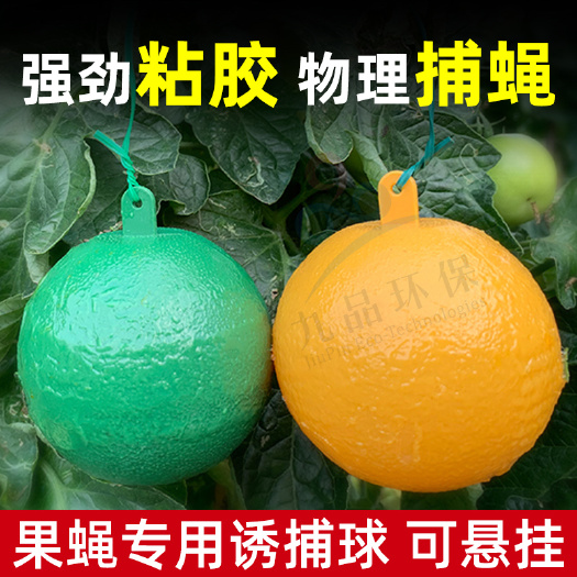 广州诱蝇球瓜果实蝇粘虫球捕柑橘大实蝇杀桔小实蝇针蜂沾马蜂小飞虫