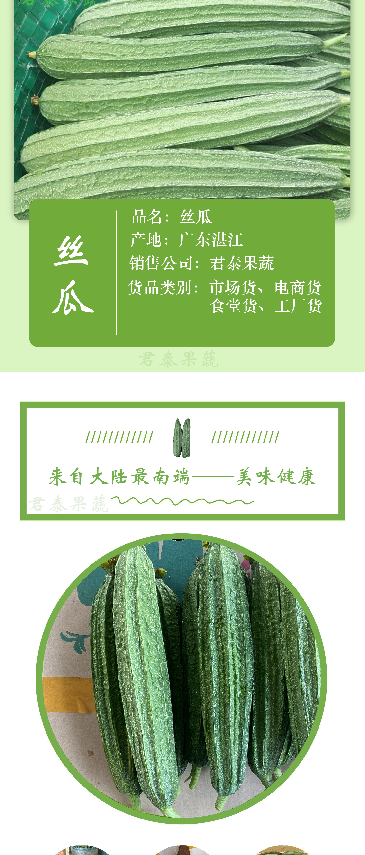 丝瓜八角瓜棱角瓜大量上市，质优价廉