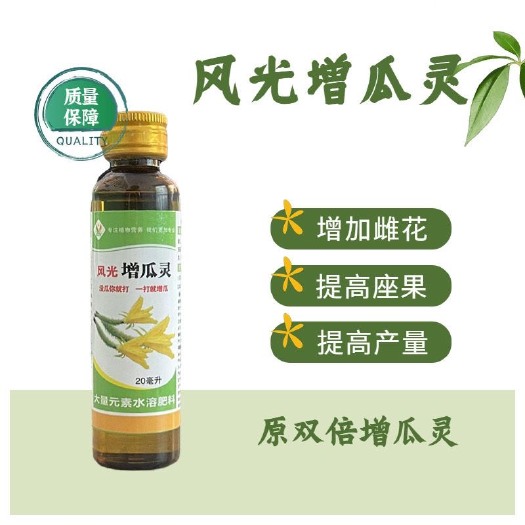 风光农业 双倍增瓜灵 黄瓜丝瓜西葫芦甜瓜等专用增瓜灵叶面肥