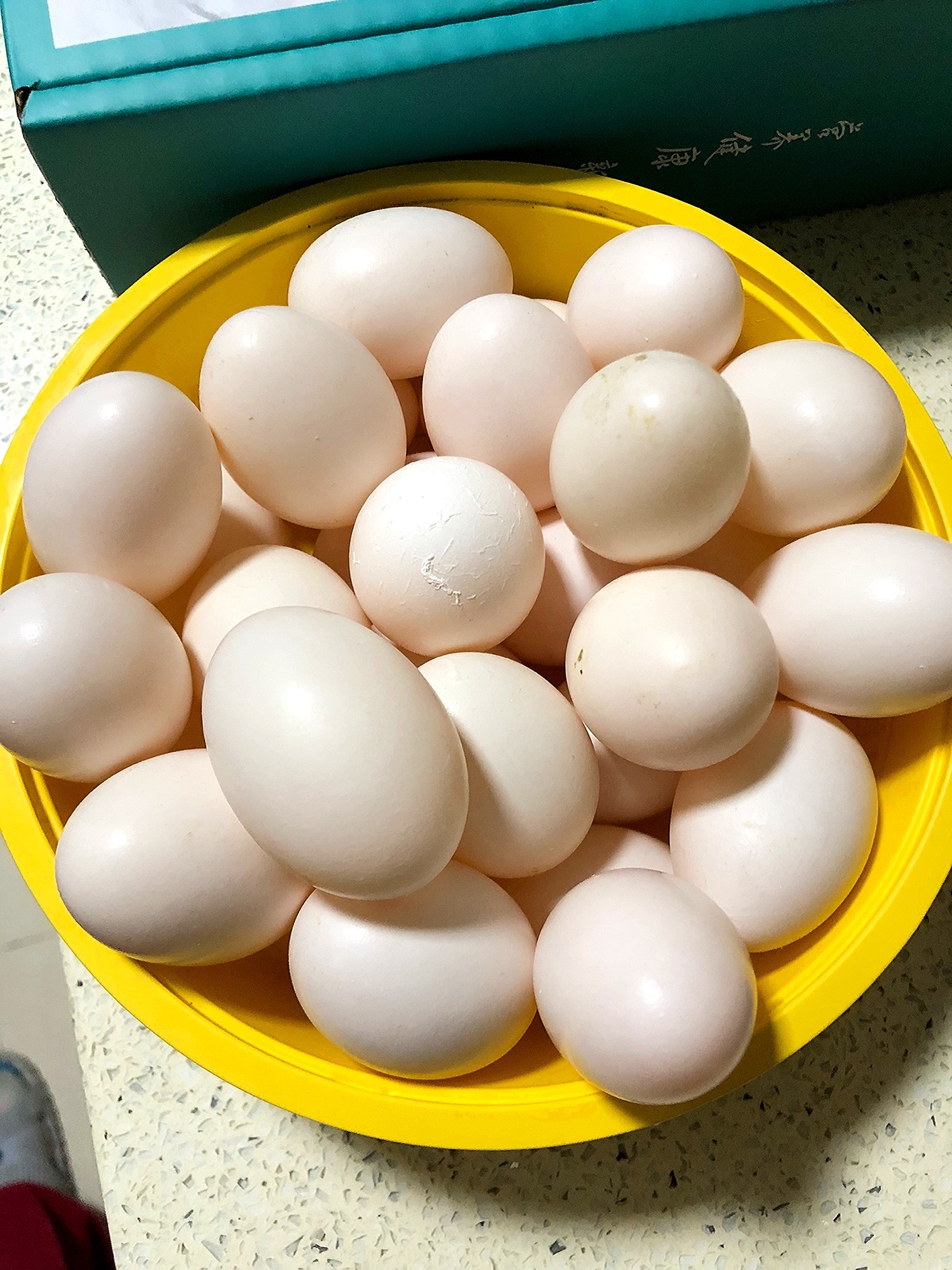 枣庄鸽子蛋包邮30个