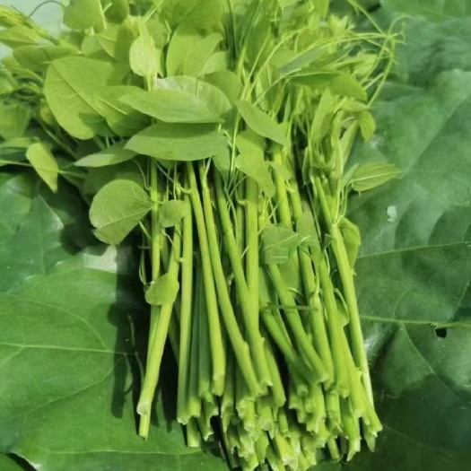 广州赤苍藤特色野菜