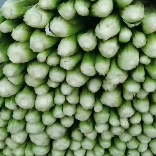 邯郸芹菜