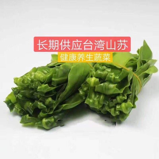 广州山苏