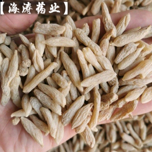 鄄城县【麦冬】产地山东，一手货源，大货供应，规格齐全，量大优惠。