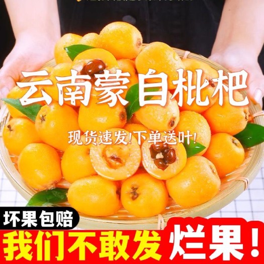 蒙自市云南蒙自枇杷一级鲜果超甜大果2斤3斤新鲜水果攀枝花米易大琵琶