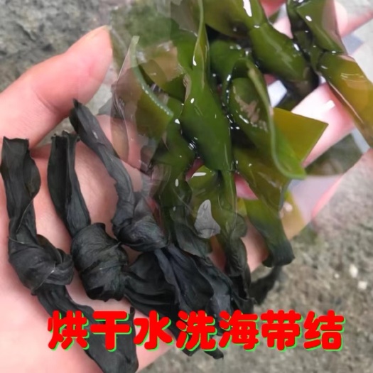 海带结 烘干海带结 海带 海带丝 海带干 压缩海带丝海带