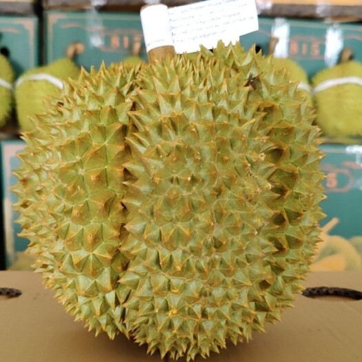 昆明泰国甲仑榴莲鲜果小规格现货