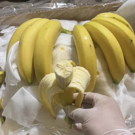 邯郸香蕉云南蕉 三把蕉果面干净口感软糯香甜大量有货可全国发货