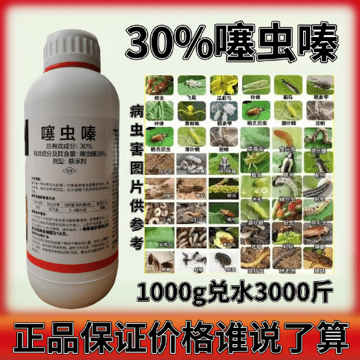 潍坊噻虫嗪蚜虫蓟马木虱稻飞虱地蛆白粉虱蔬菜果树花卉农药杀虫剂