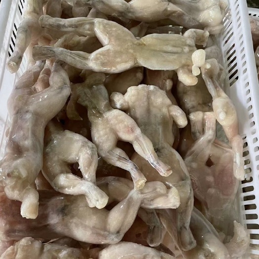 汕头牛蛙肉整只 切块  前腿 后腿