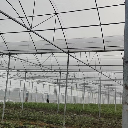 恩平市农业蔬菜温室大棚，专业上门实地设计，安装