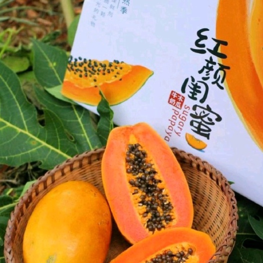 三亚海南大白木瓜