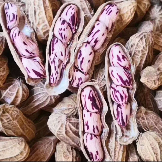 墨江县云南土特产七彩花生